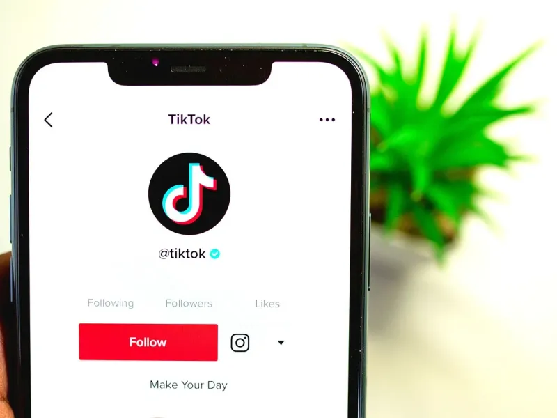 TikTok app profile page on a smartphone screen showing the official TikTok account.